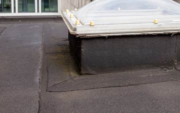 disadvantages of Penrhyd Lastra flat roofs