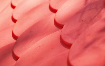 Penrhyd Lastra plastic roof costs