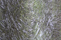 Penrhyd Lastra fibreglass roof work